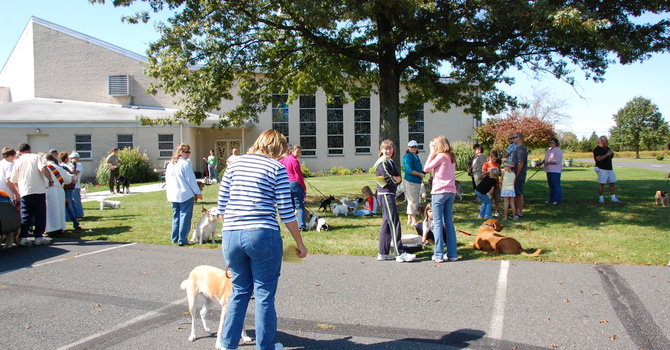 Blessing of the Animals