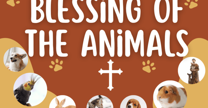Blessing of the Animals, October 4 at 6:00pm