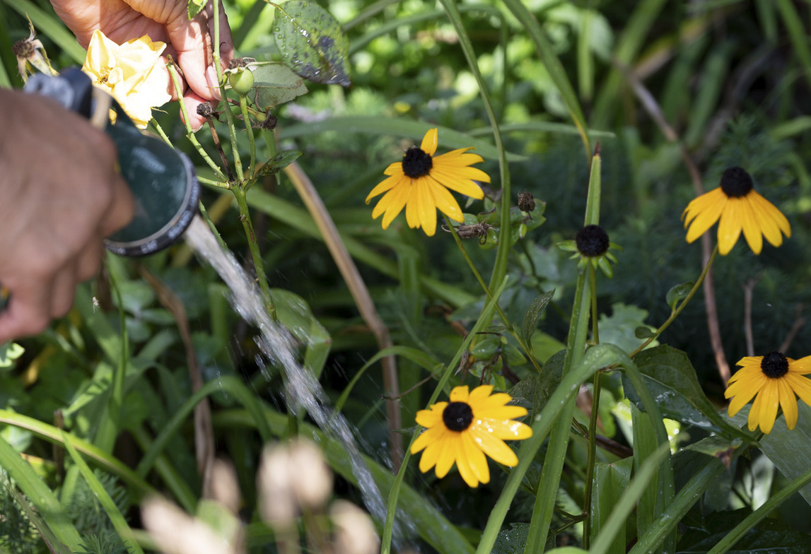 Slideshow image