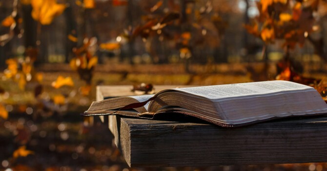 The Call Newsletter