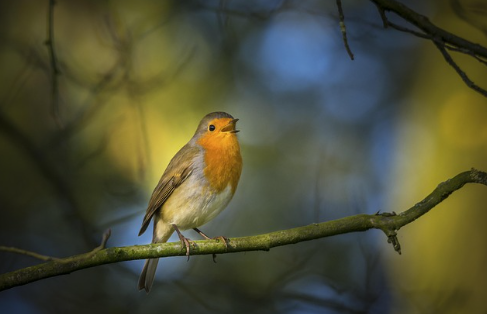 Slideshow image