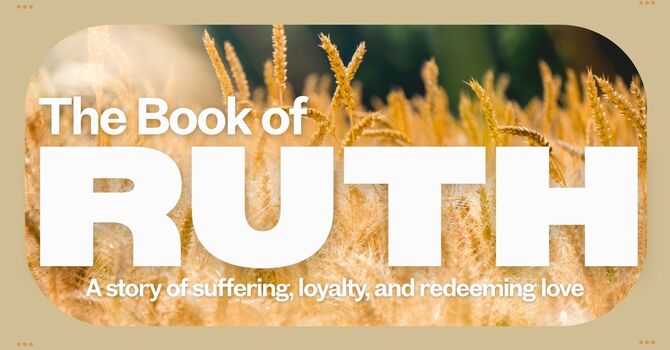 Even Better Than Expected (Ruth Chapter 4)