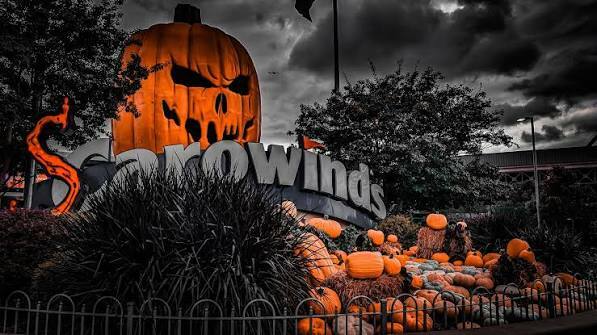 Slideshow image