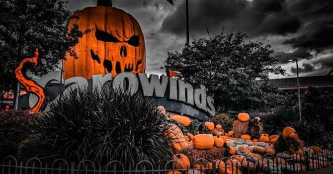 Scarowinds