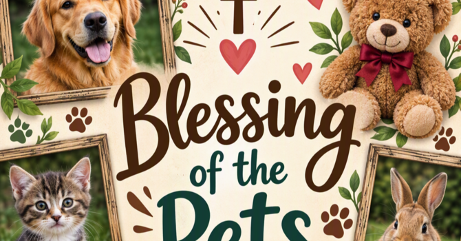 Blessing Of The Pets