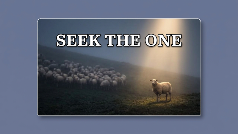 Seek The One