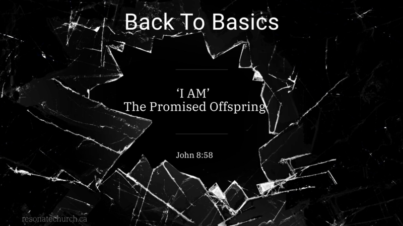  I Am The Promised Offspring