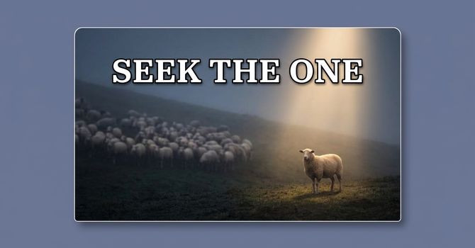 Seek The One