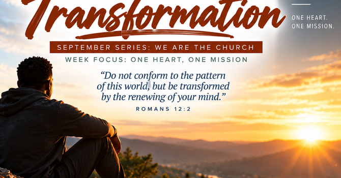 Recognize The Transformation image