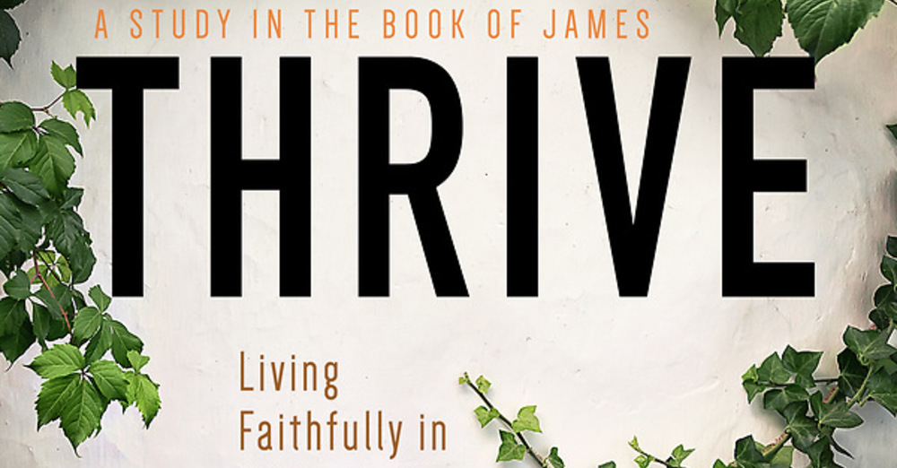 Fall Small Groups