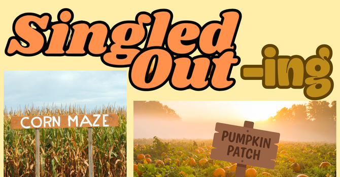 Pumpkin Patch
