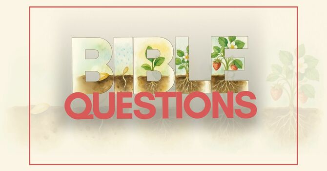 Questions Sunday!