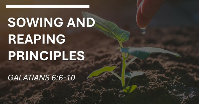 Sowing and Reaping Principles