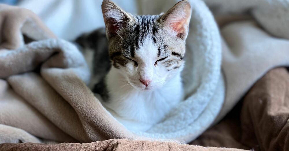 Nineteenth Sunday after Pentecost