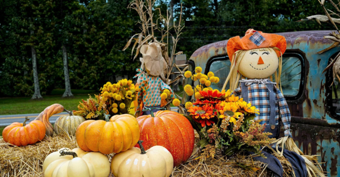 Hayride & Corn Maze