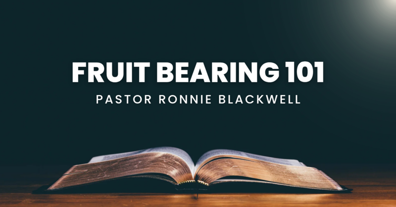 Fruit Bearing 101