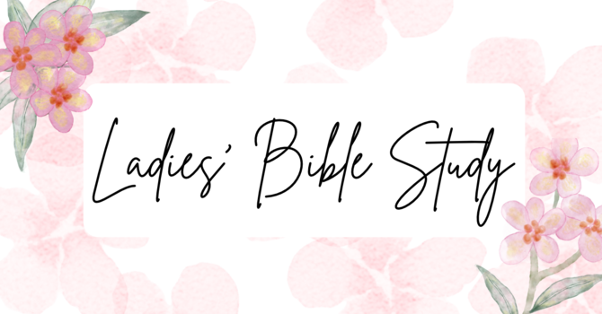 Devoted Women Bible Study (English)