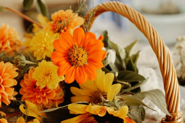 Thanksgiving Dedications
