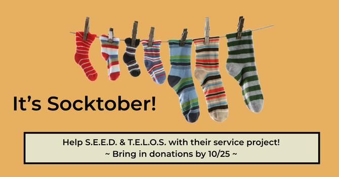 It's Socktober!!!