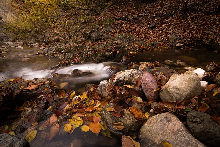 Slideshow image