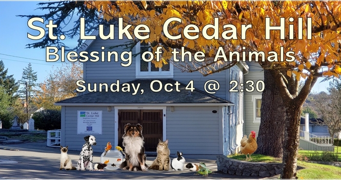 Blessing of the Animals Service