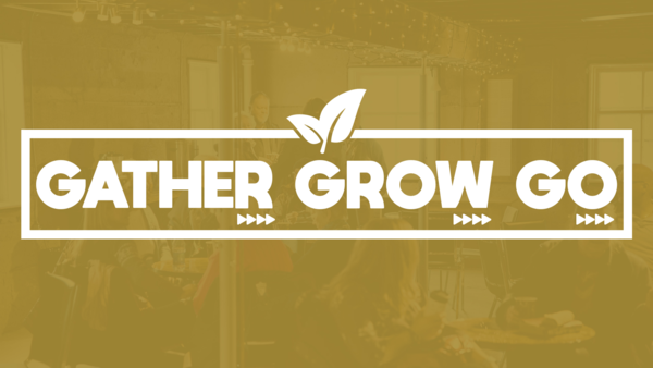 Check Out Our Fall Life Groups