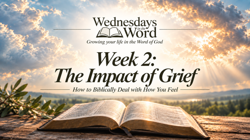 The Impact of Grief