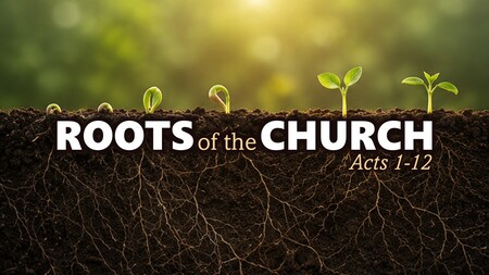 Roots of the Church