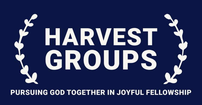 Harvest Connect Groups