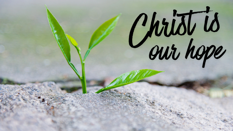 Christ is our Hope-Contemporary 