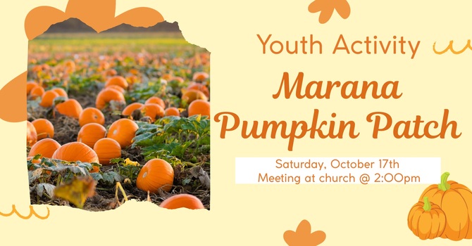 Marana pumpkin patch 