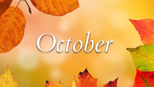 See what's new for October at the "Z"
