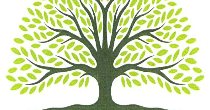 Bethel Fall Endowment Application