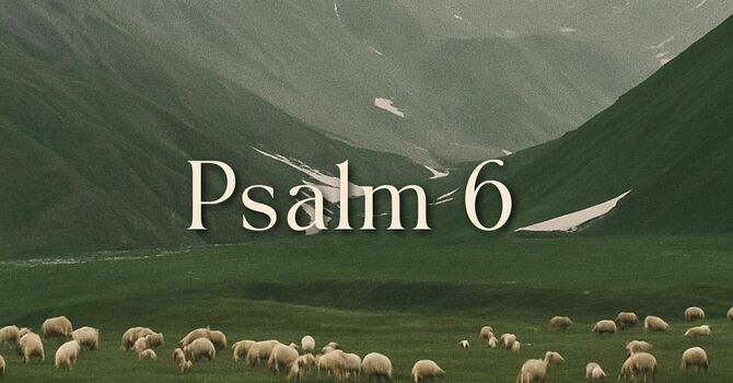 Psalm 6