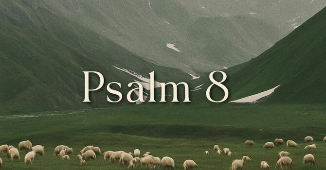 Psalm 8