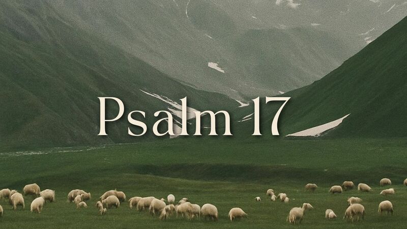 Psalm 17