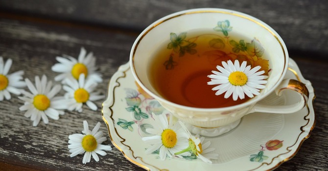Gail Economy Memorial Tea
