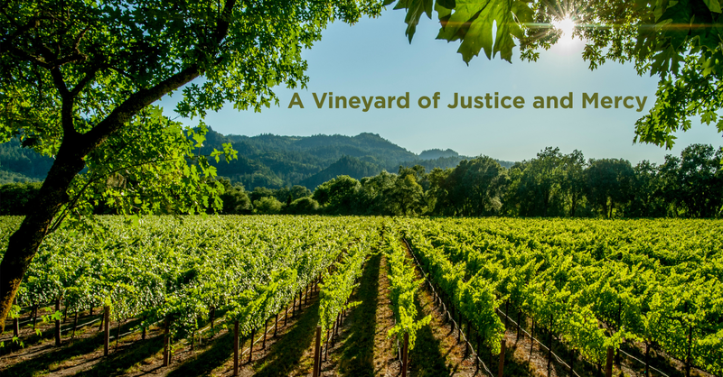 A Vineyard of Justice and Mercy