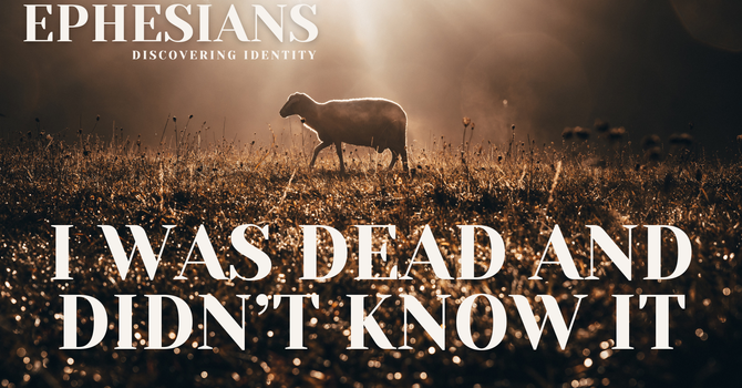 I was Dead and Didn't Know It
