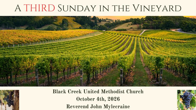 A THIRD Sunday in the Vineyard