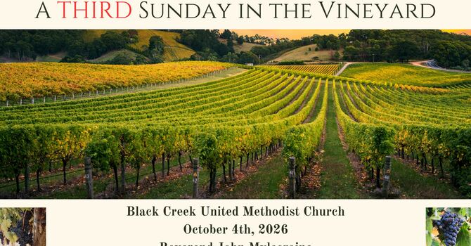 A THIRD Sunday in the Vineyard