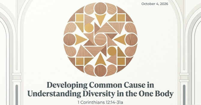 Developing Common Cause in Understanding Diversity in One Body 