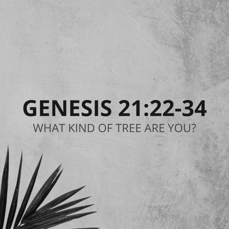 Genesis 21:22-34