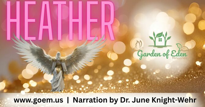Heather's Story - "A Journey of Faith and Provision"