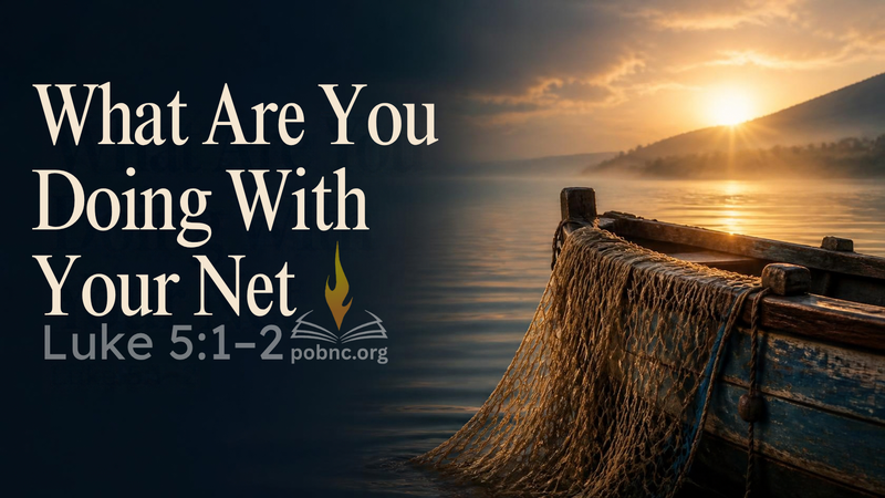 What Are You Doing With Your Net