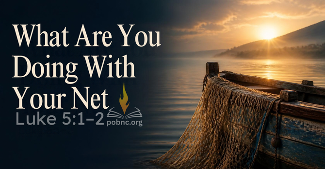 What Are You Doing With Your Net