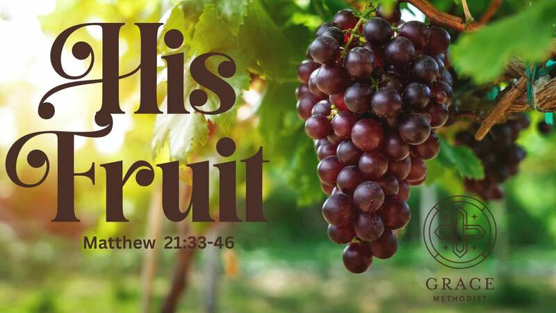 His Fruit