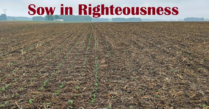 Sow Righteousness