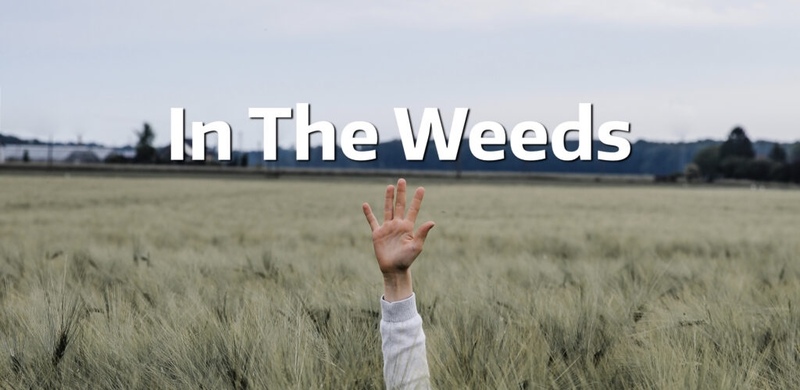 In the Weeds