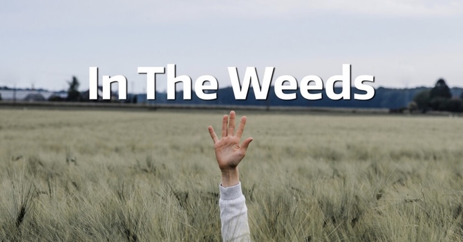In the Weeds